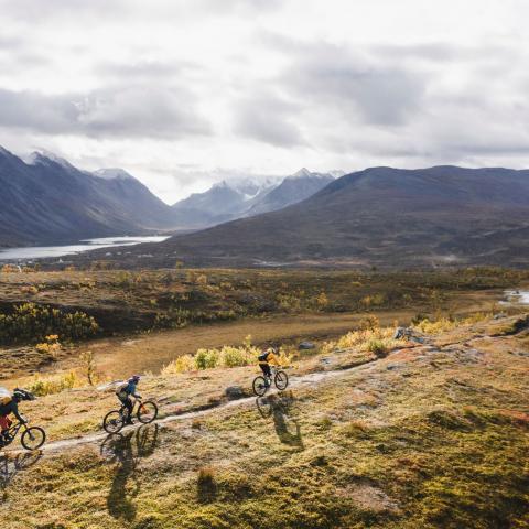 3 mountainbikers along a path - autumn colours