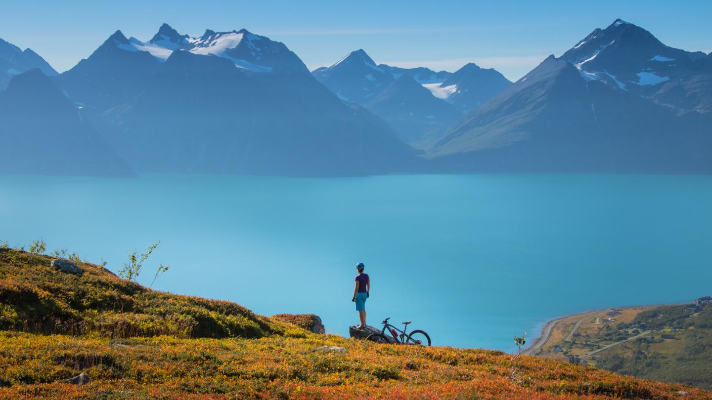 En stisyklist på fjellet, høstfarger, ser utover Lyngenfjorden og Lyngsalpene