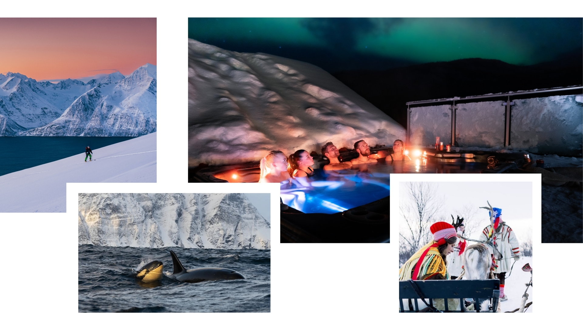 empty trails, whales, northern lights, sami