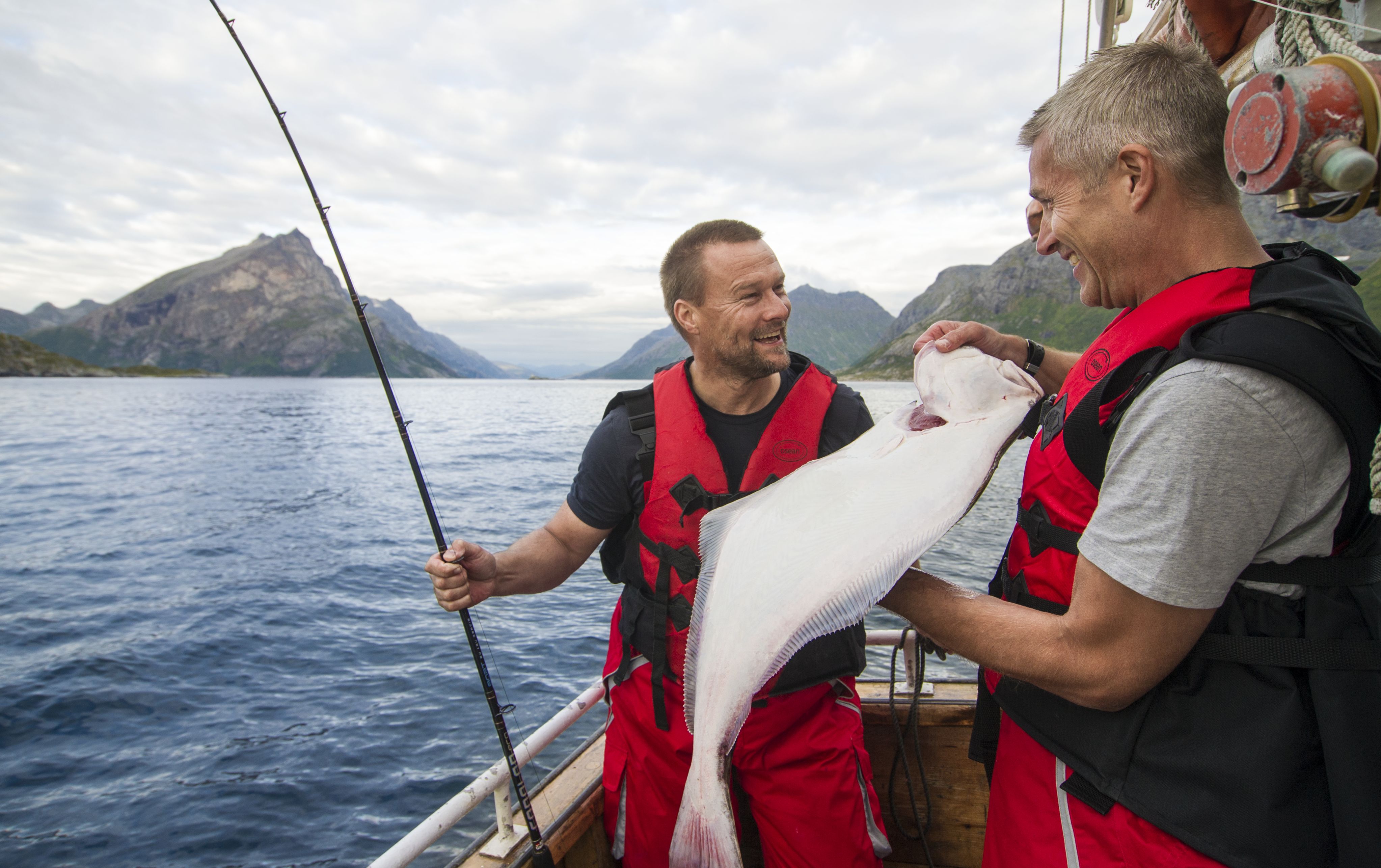 All you need to know about fishing in the Lyngenfjord region, Northern  Norway