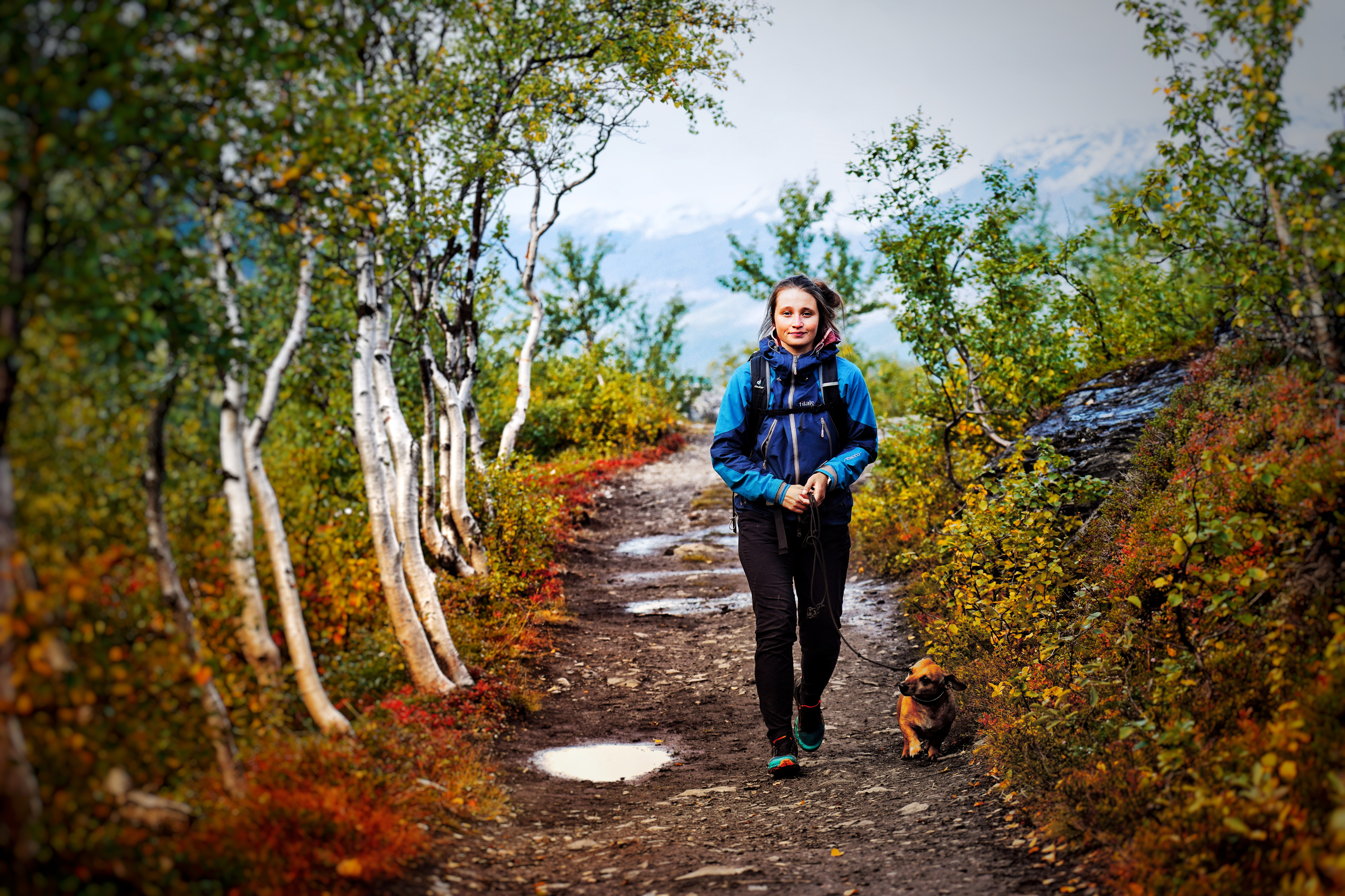 Person walking on a forest trail