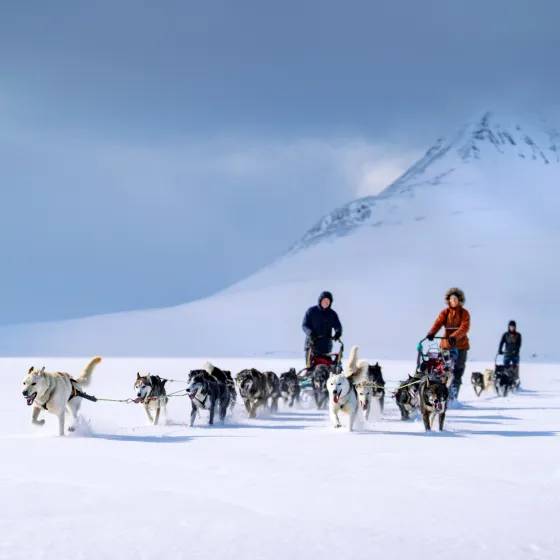 Dogsledding in Lyngenfjord