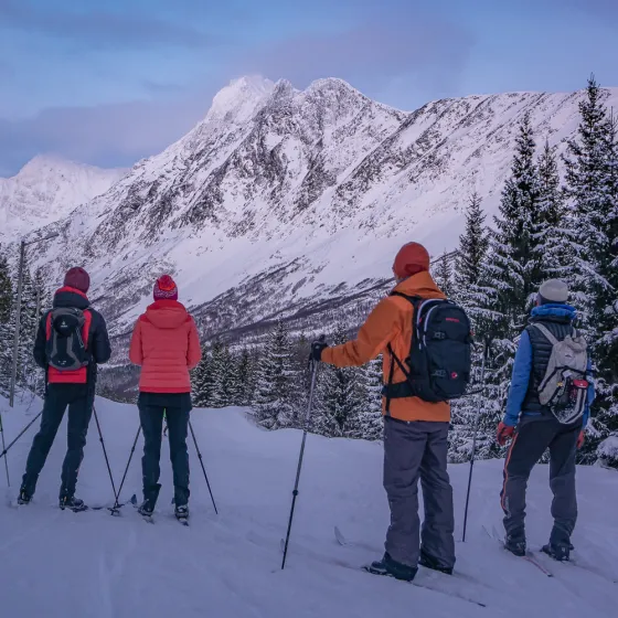 4 cross country skiers in a prepared track