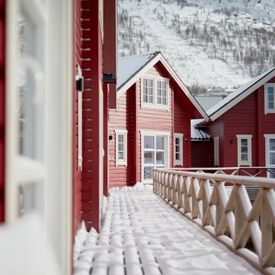XLyngen_Ewen Bell