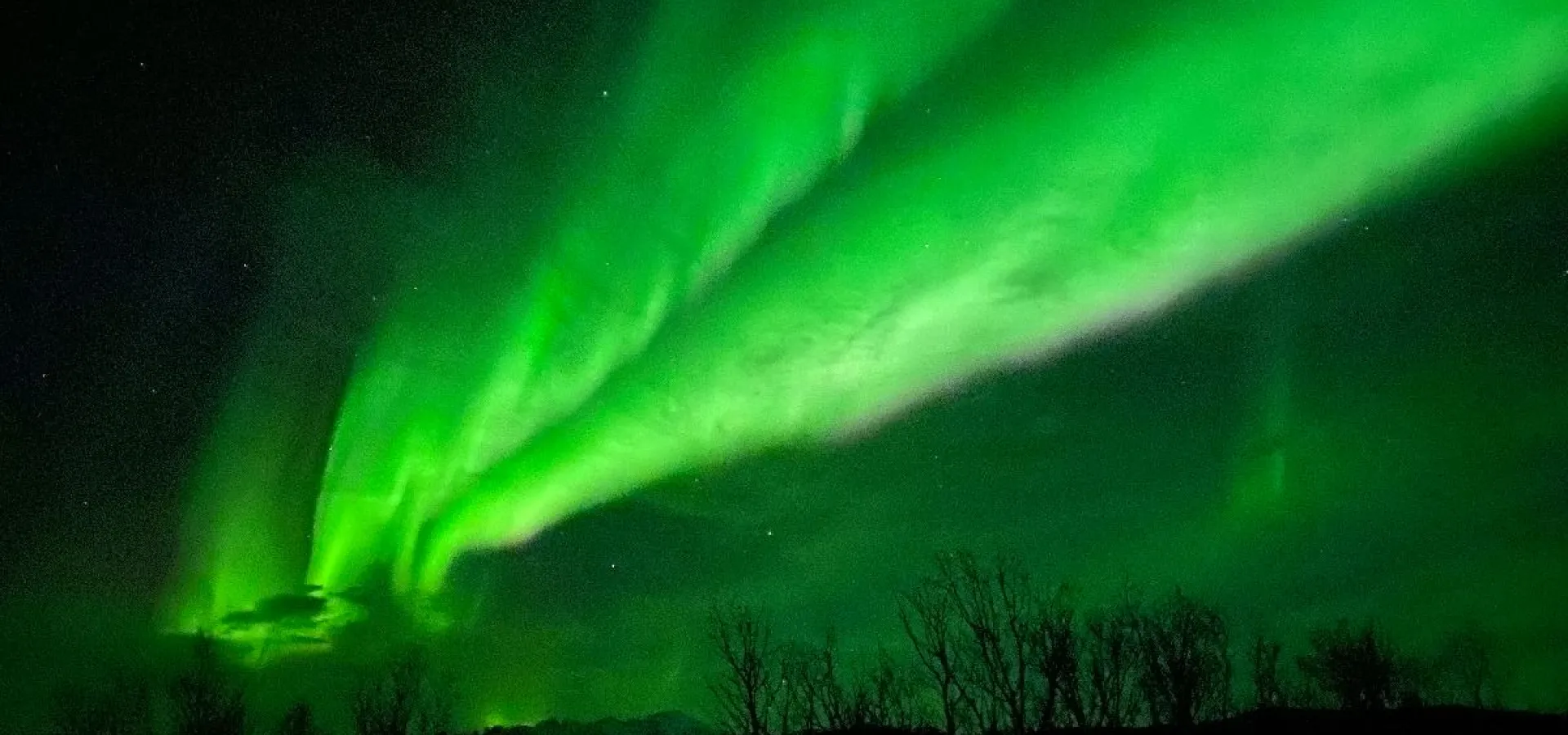 Aurora truge vandring  - Explore 70 Degrees