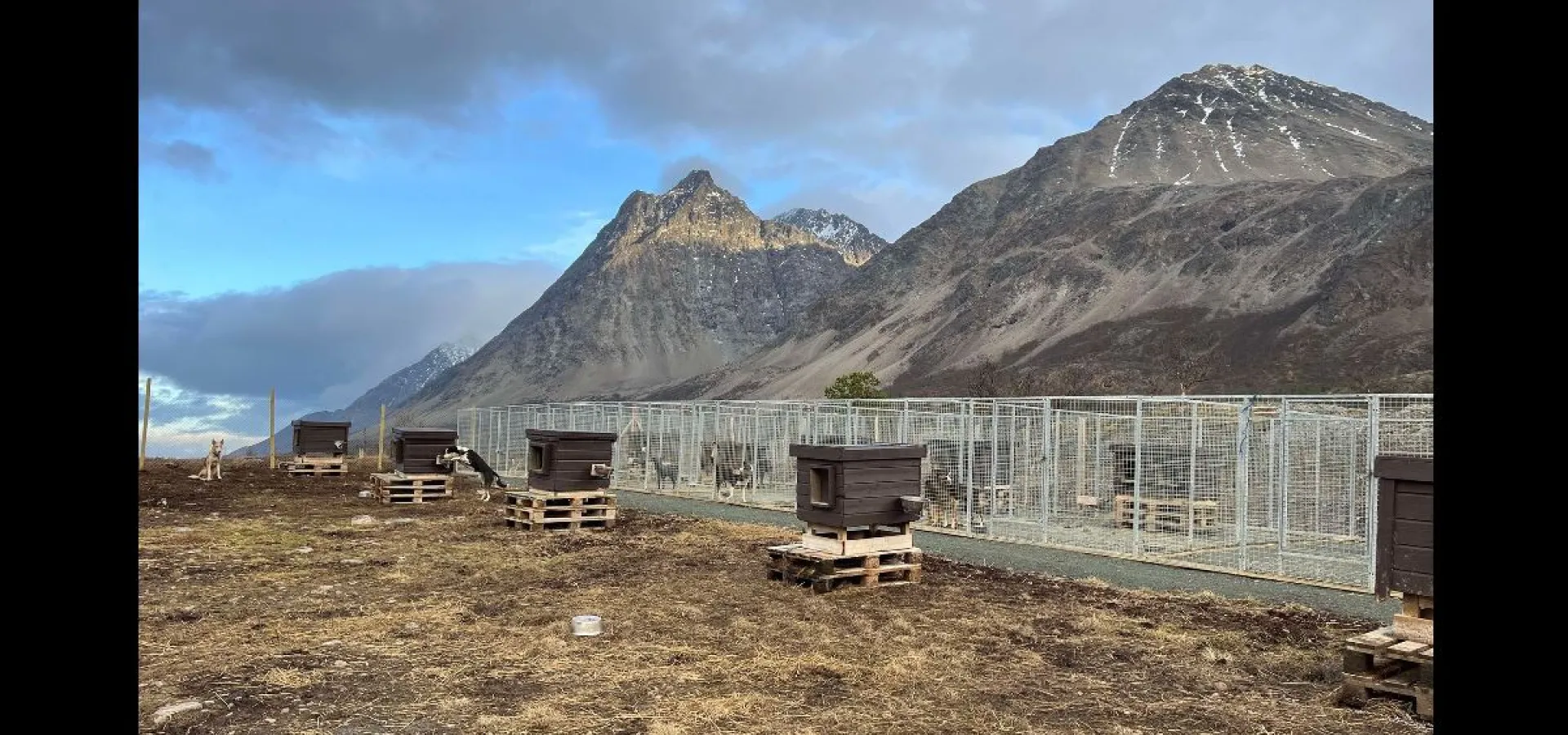 Lyngen Safari Hundegårdsbesøk på høsten