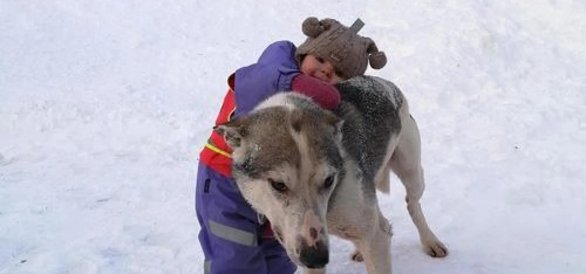 Lyngen Safari Hundegårdsbesøk på høsten