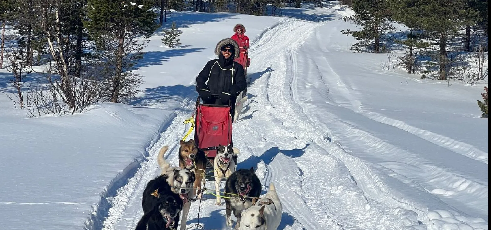          Hundekjøring i vakre Skibotn dalen - Avgang KILPISJÄRVI