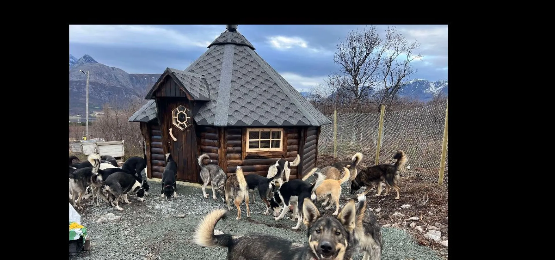 Kveldssafari på snøscooter - Lyngen Safari