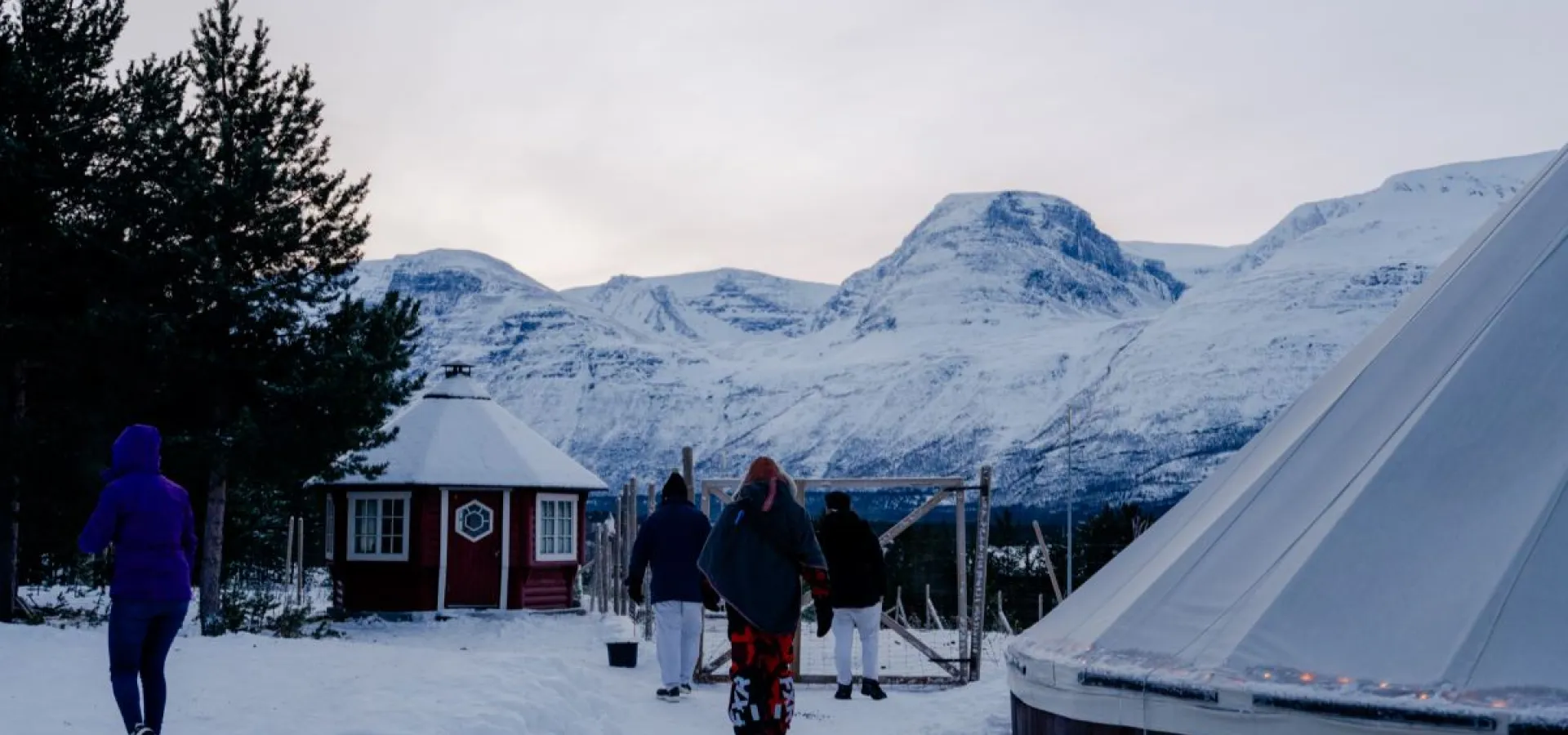 Reinsledekjøring i Skibotndalen - dagstur med the Samiway
