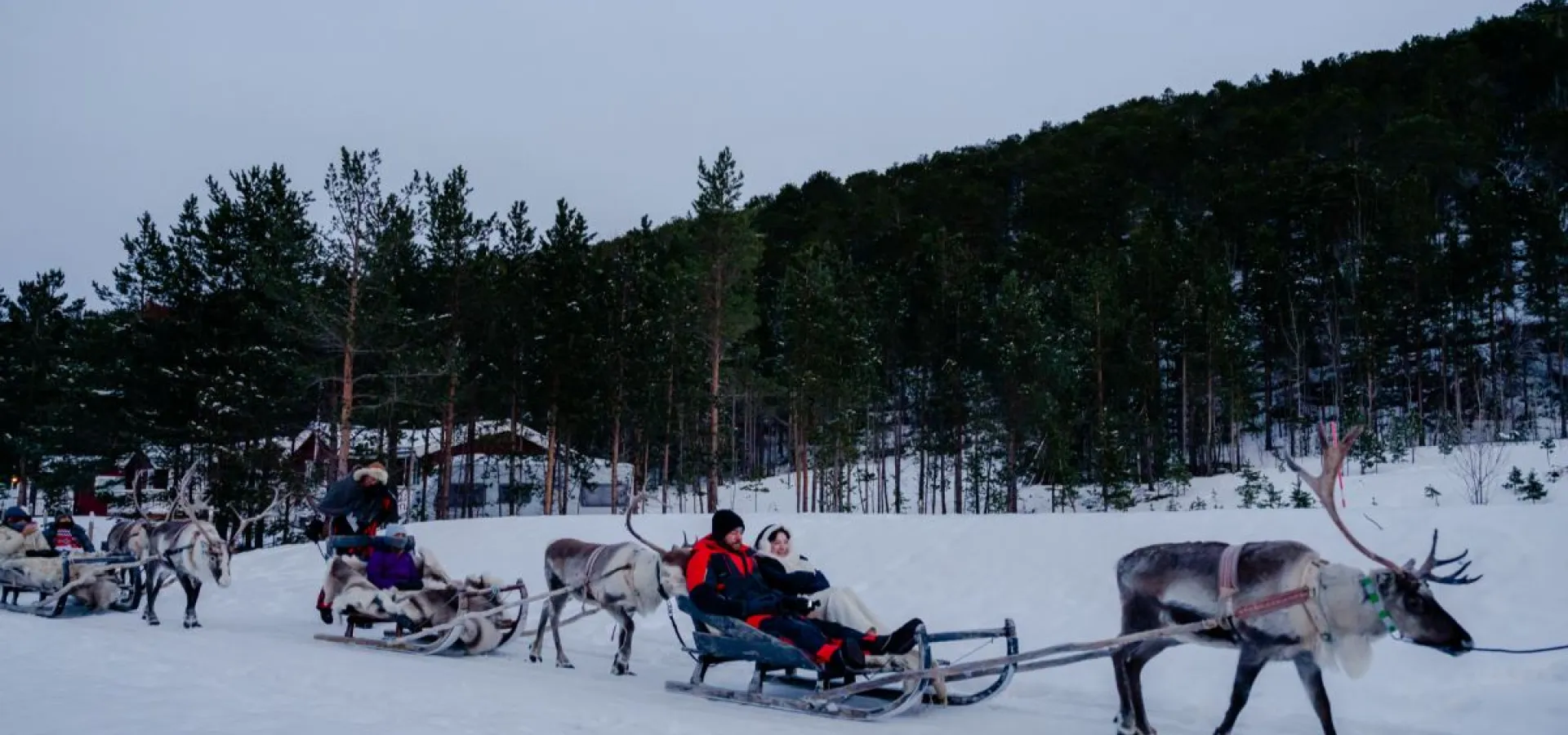 Reinsledekjøring i Skibotndalen - kveldstur med the Samiway