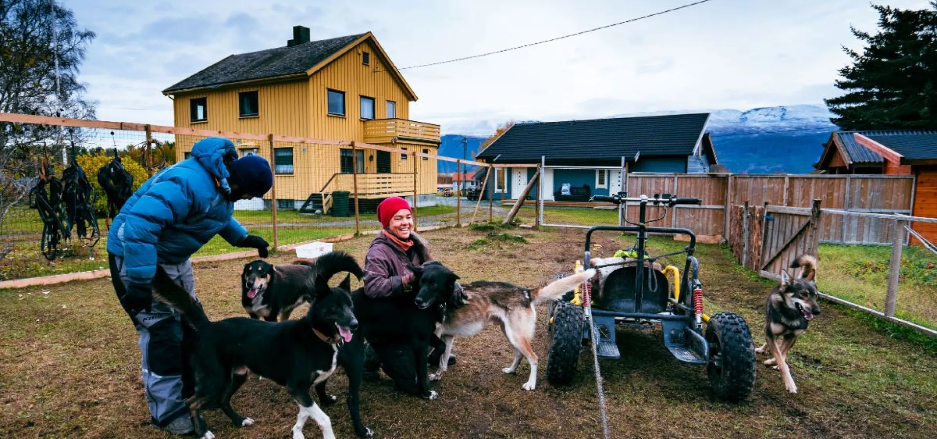 Hundesledetur på hjul - Lyngen Outdoor Experiences