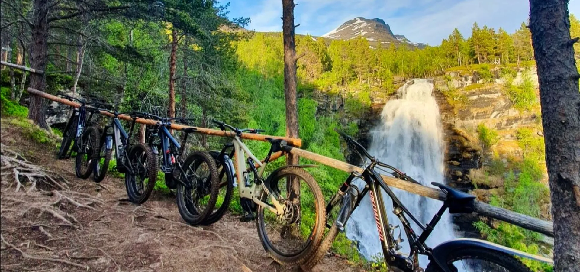 Fulldempet EL-sykkel til leie - Activenorth