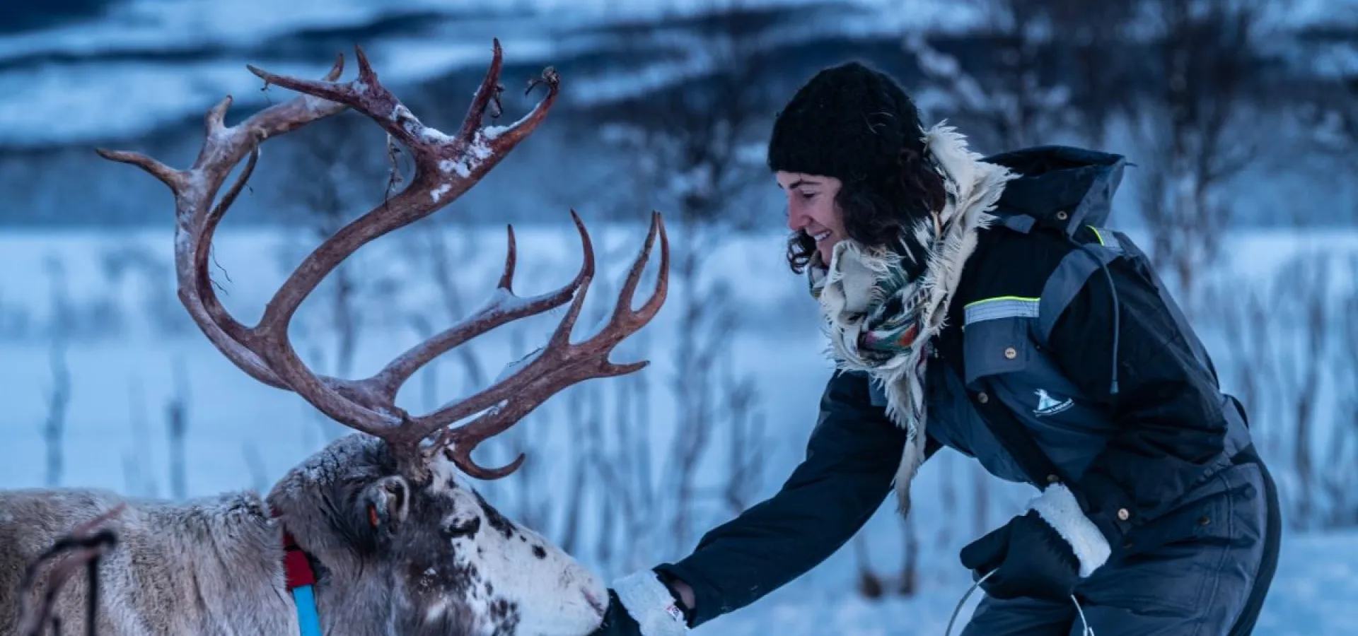 Reindeer Feeding and Sami Culture