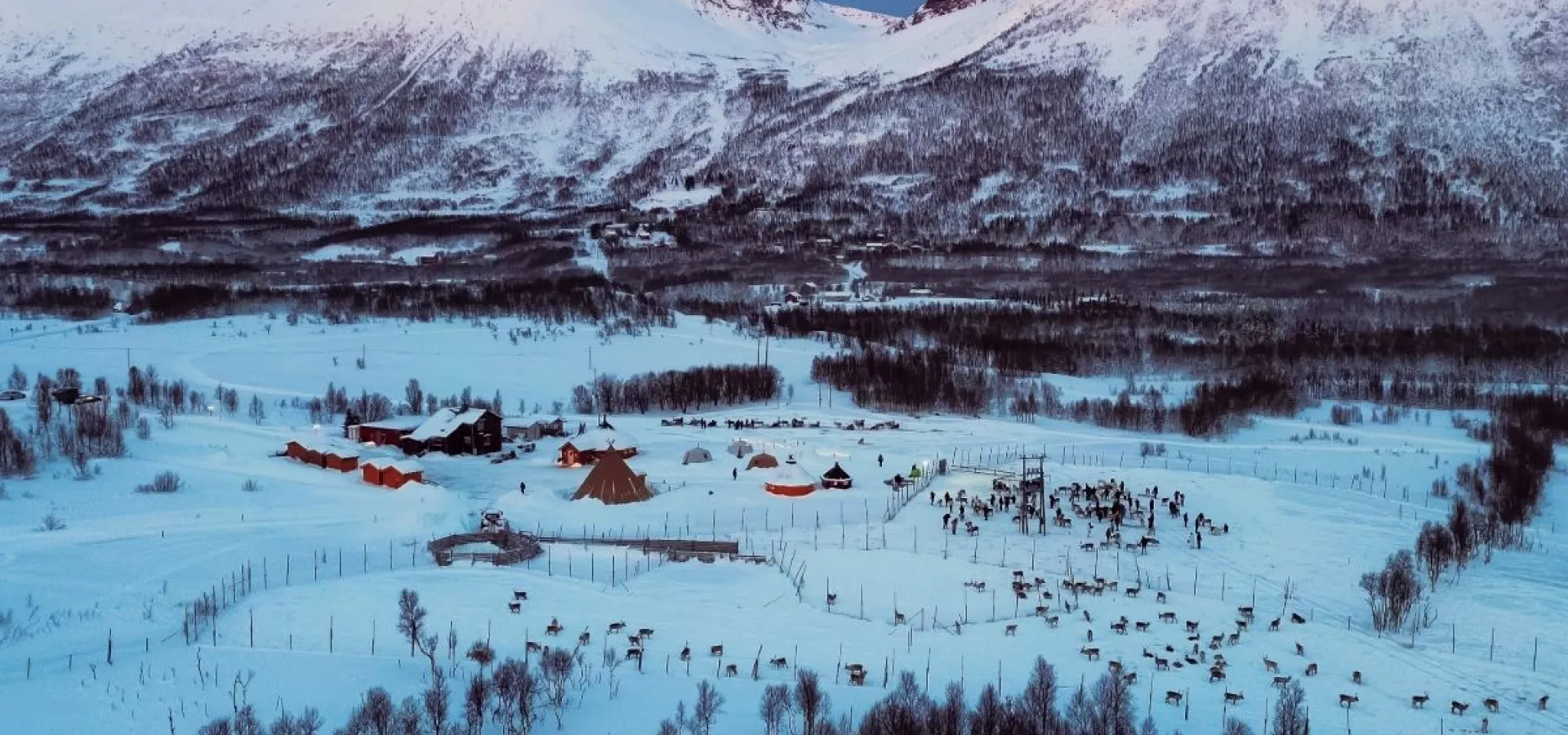 Reindeer Feeding and Sami Culture