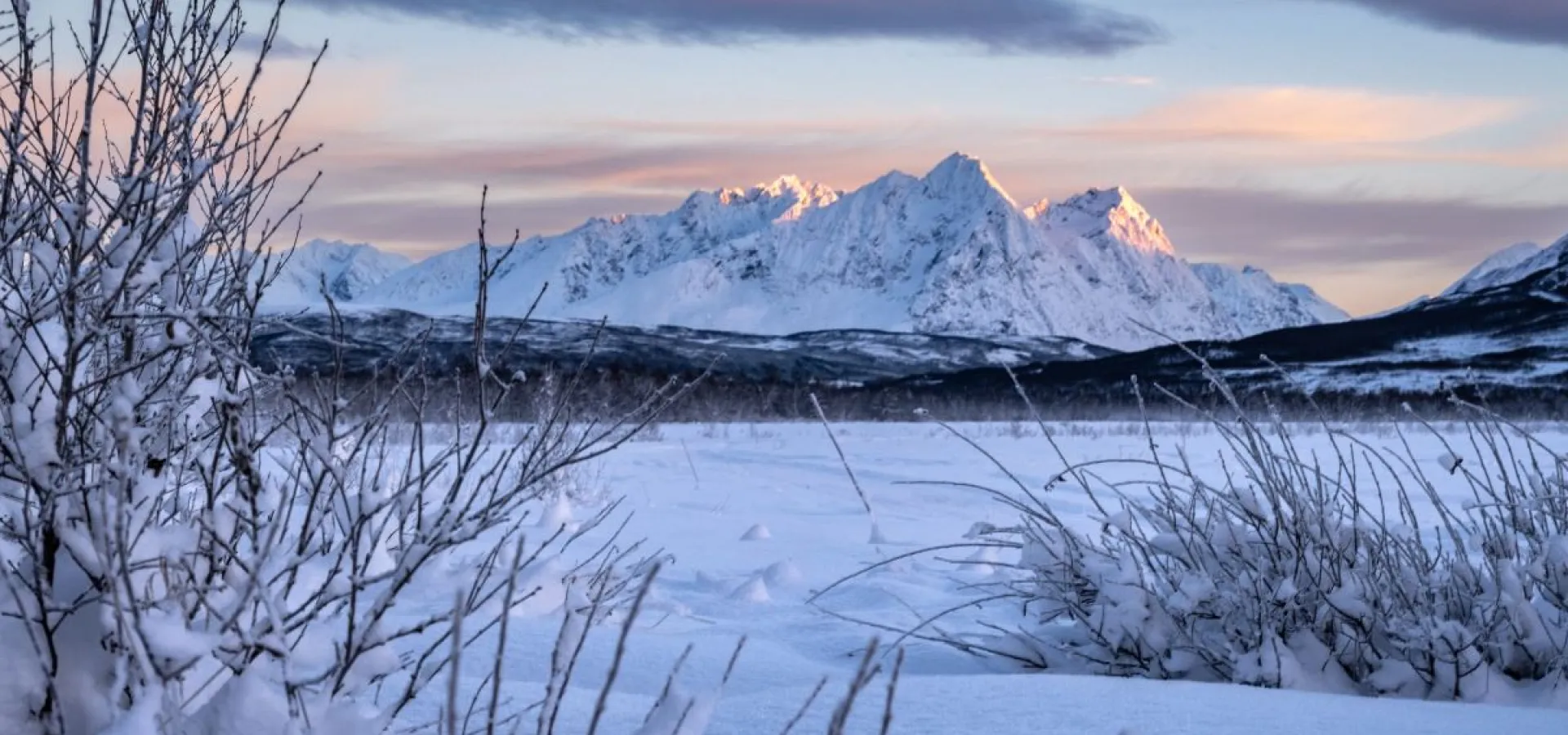 Reindeer Sledding, Reindeer Feeding and Sami Culture