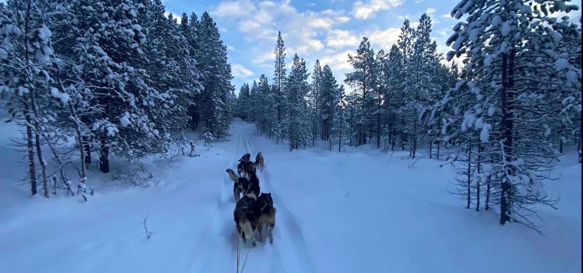 Hundekjøring først i vakre Skibotndalen - pick up fra MANNDALEN