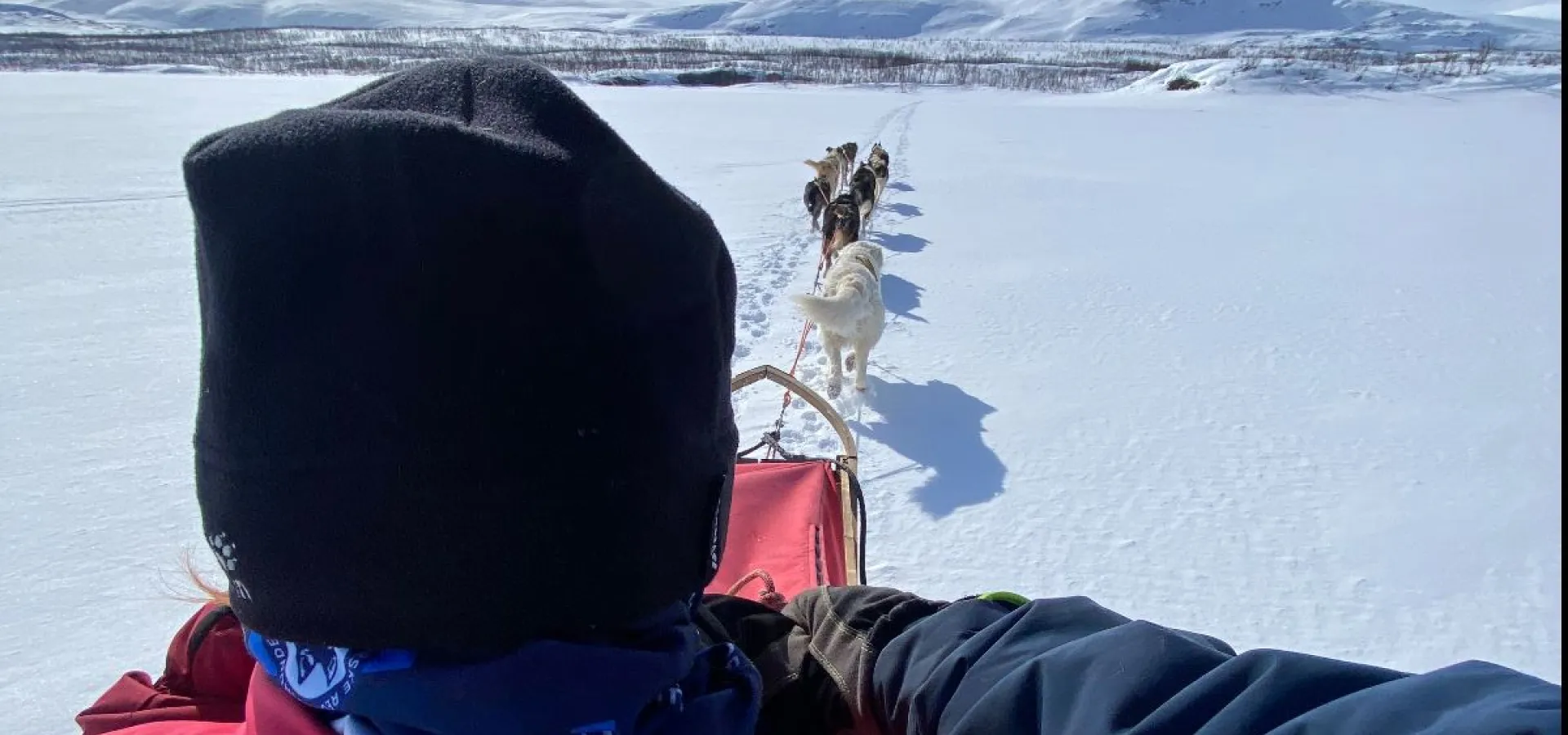 Hundekjøring først i vakre Skibotndalen - pick up fra MANNDALEN