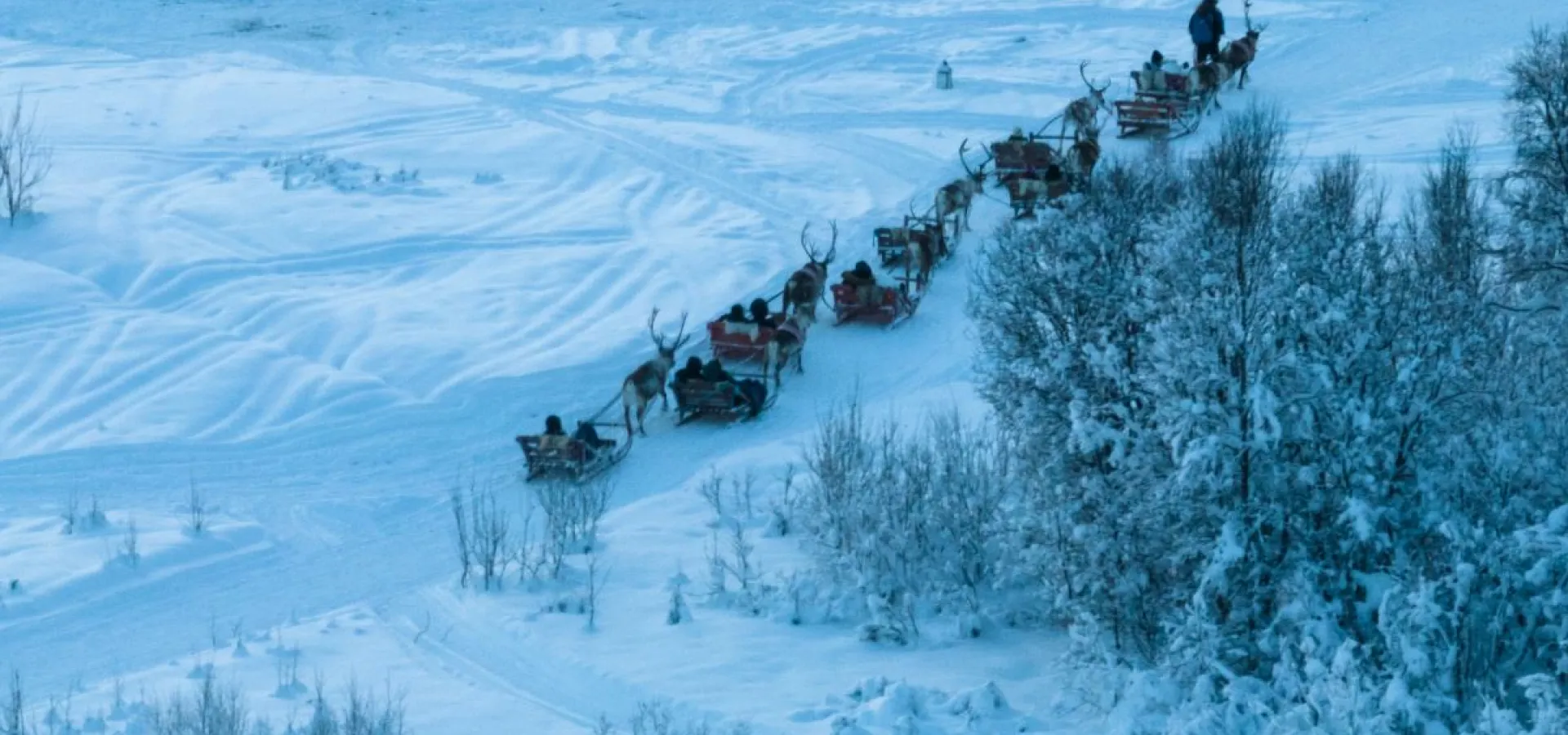 Reindeer Sledding and Sami Culture 1pm