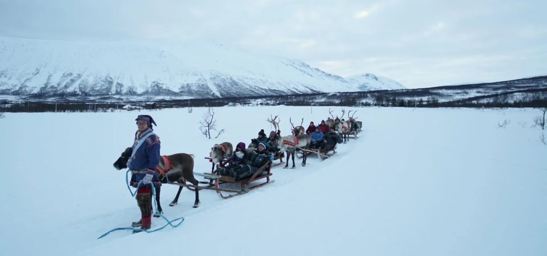 Reindeer Sledding and Sami Culture 1pm