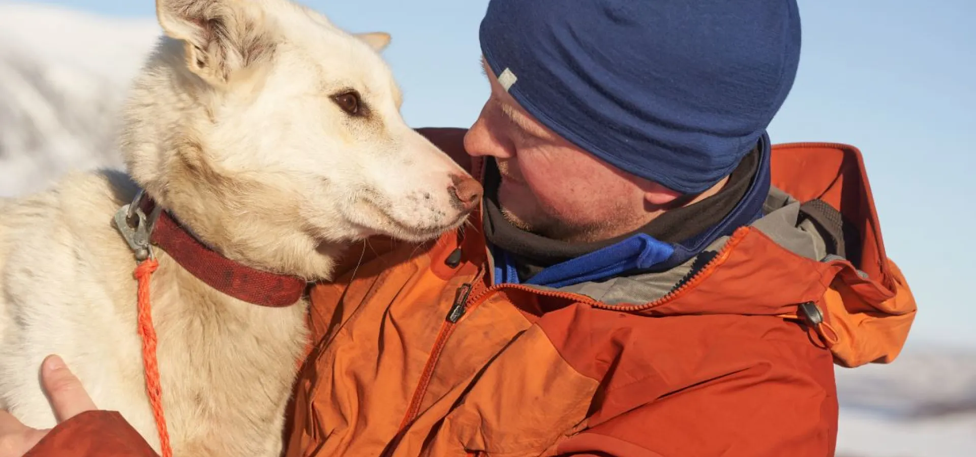 Besøk vår husky hundegård - Into the wild