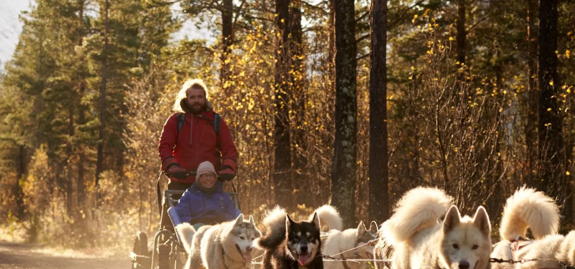 Hundekjøring på hjul - Into the wild
