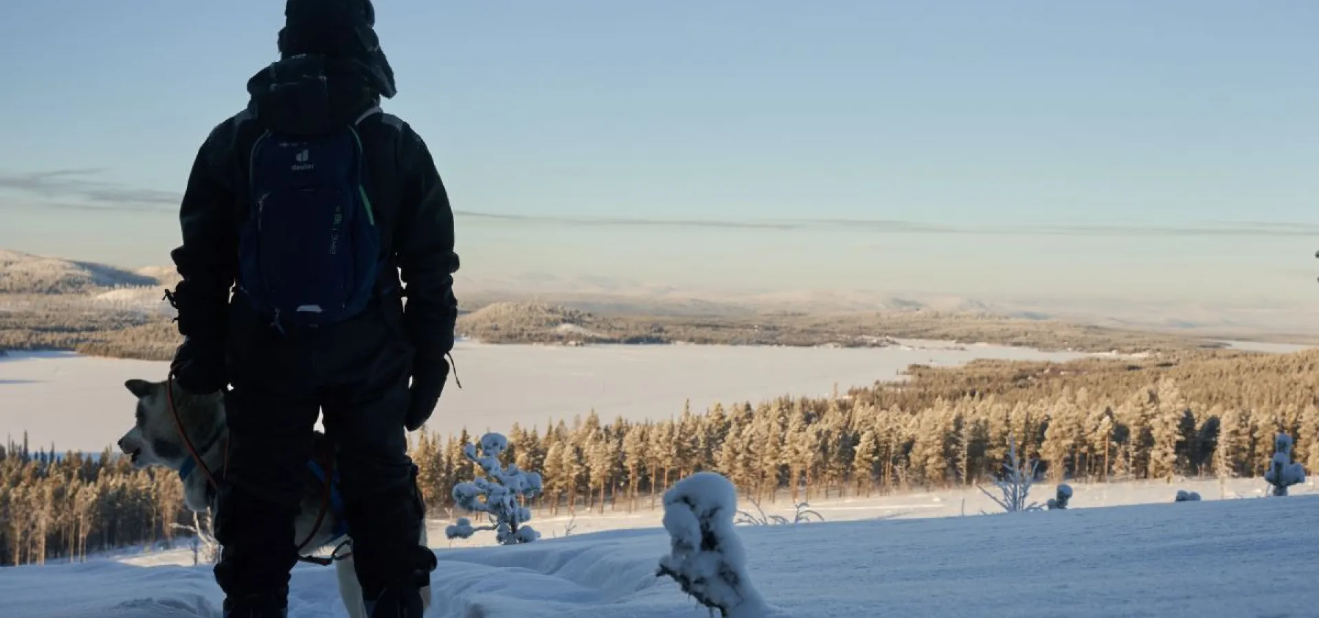 Snowshoe hike (with or without a husky)