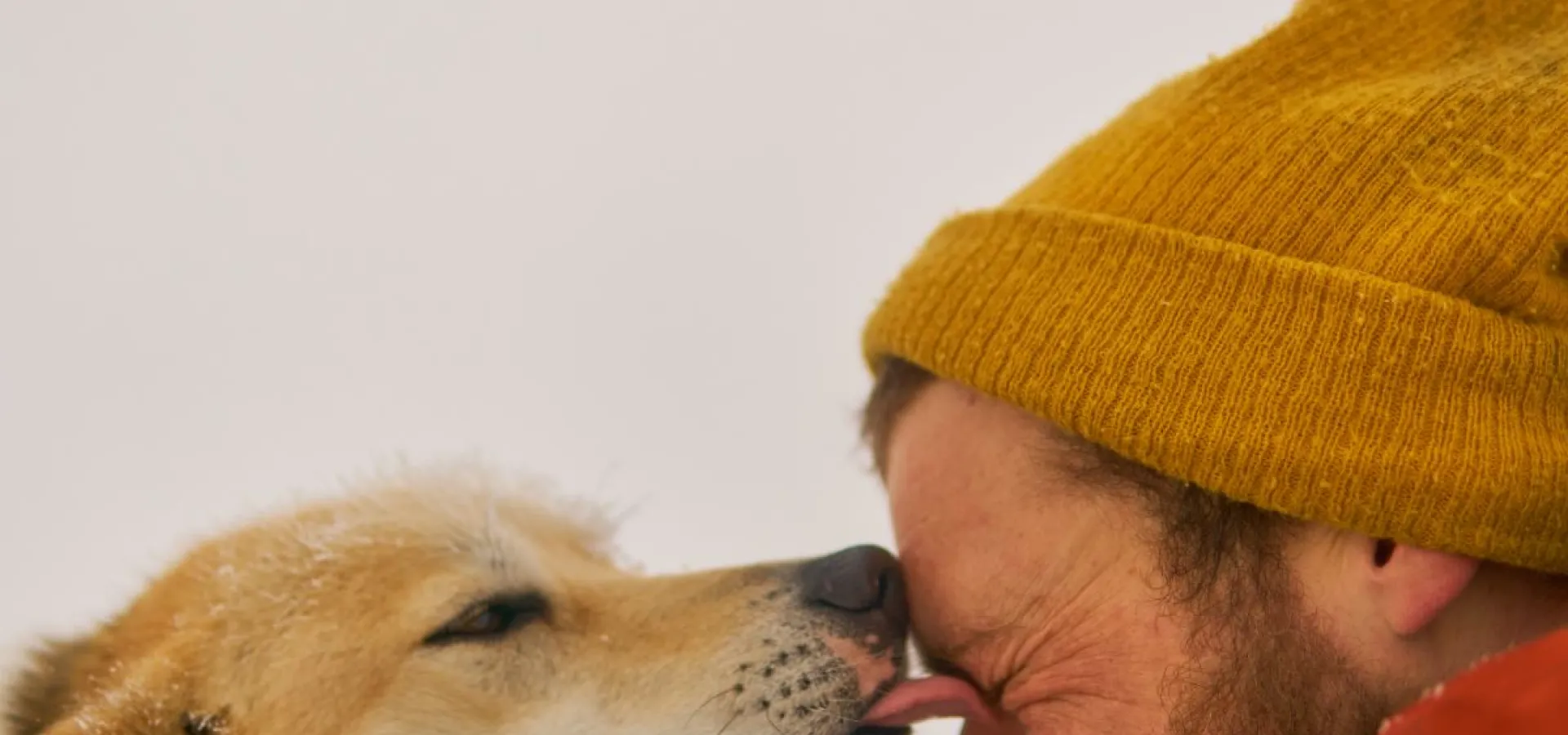 Hundekjøring på hjul - Into the wild