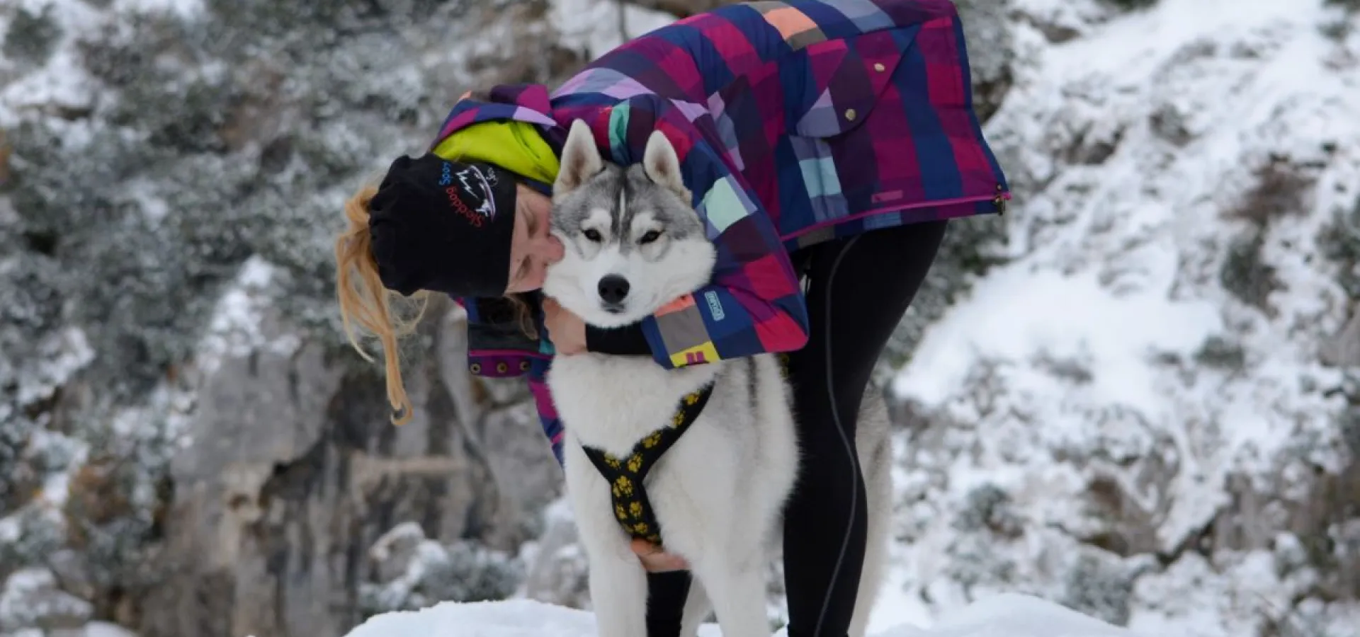 Snowshoe hike (with or without a husky)