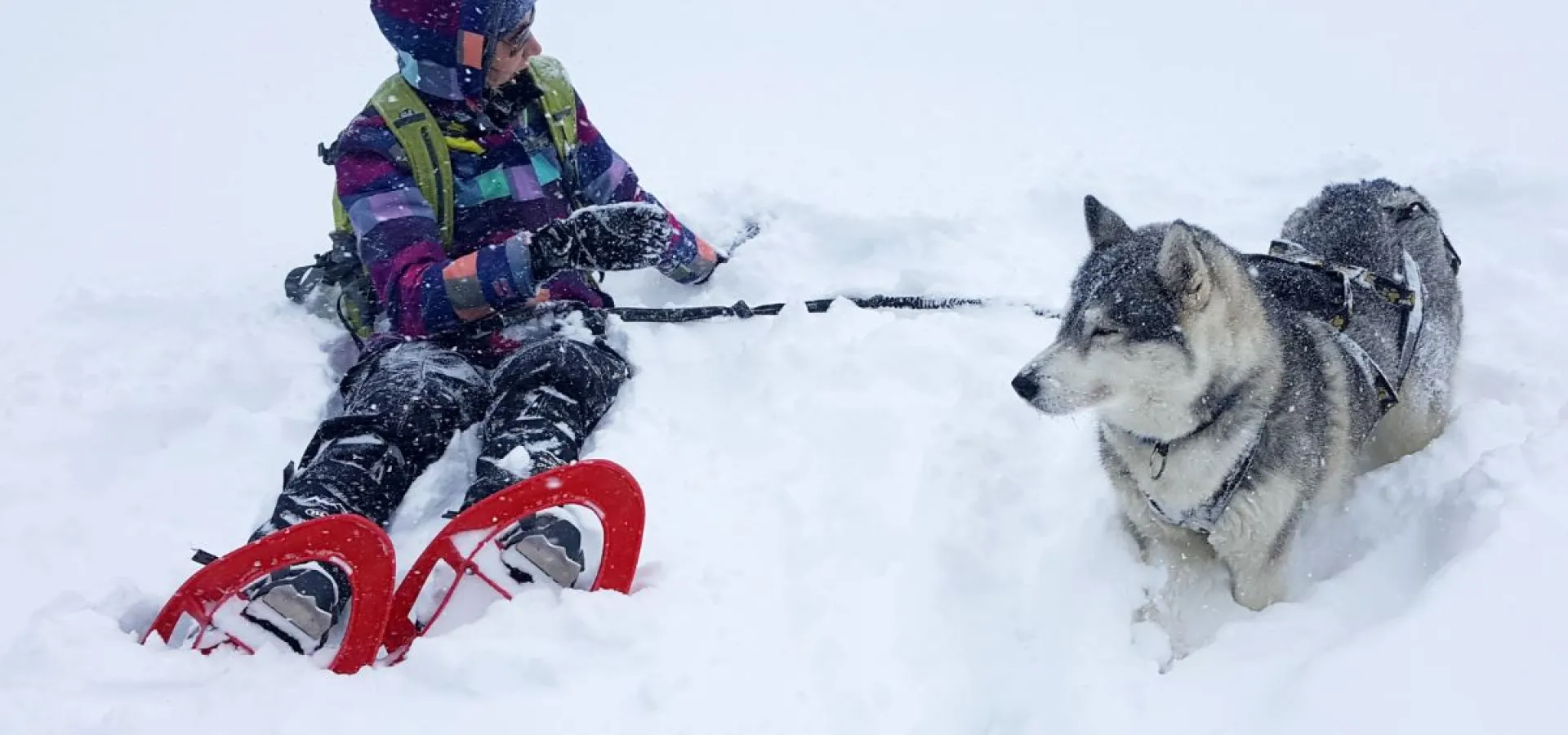 Snowshoe hike (with or without a husky)