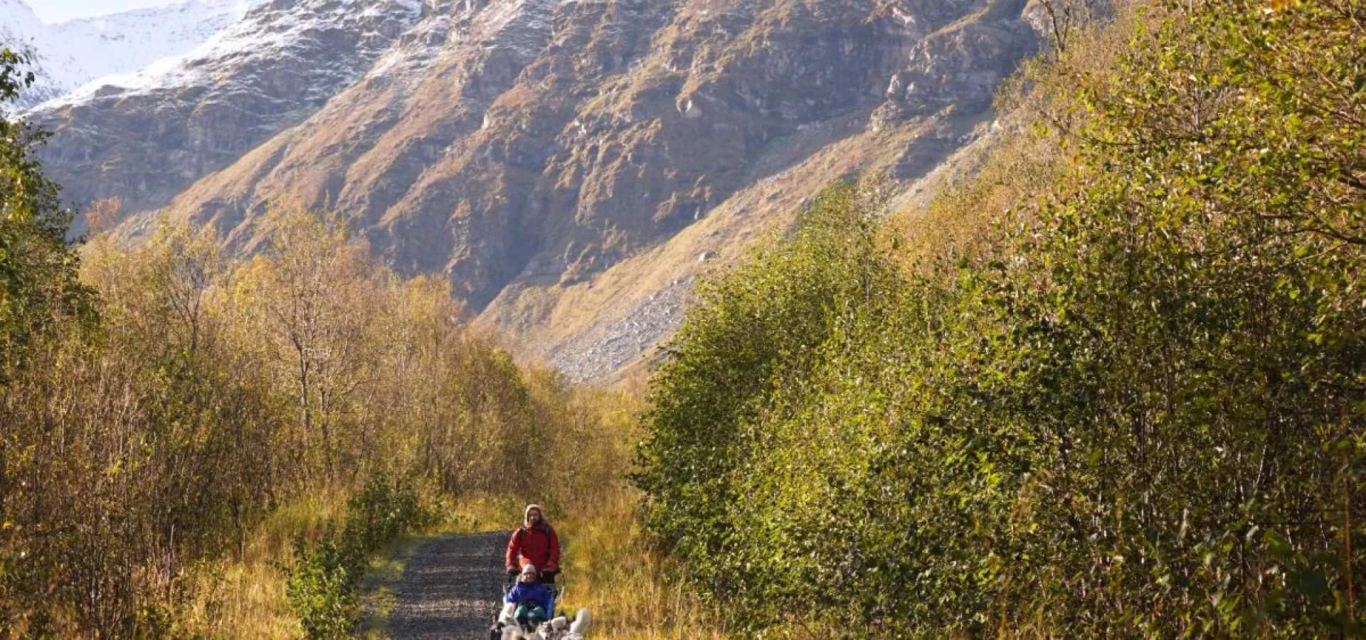 Hundekjøring på hjul - Into the wild