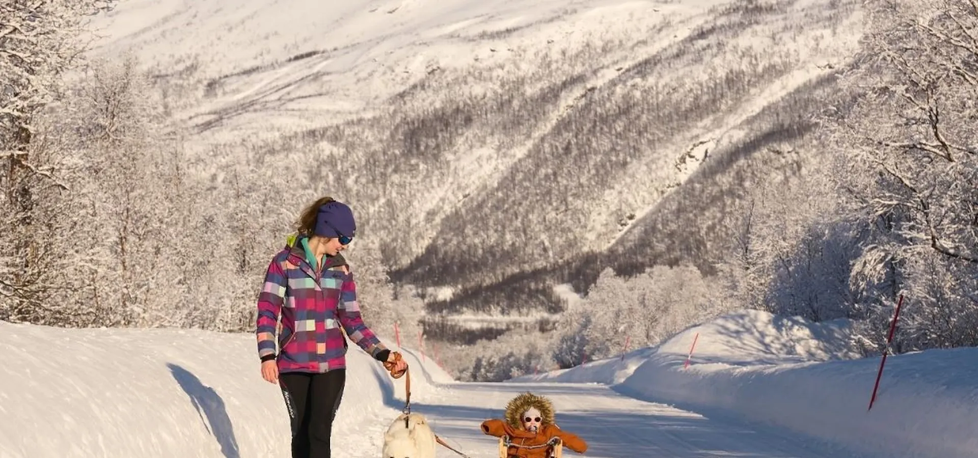 Childfriendly winter activities with huskies - Into the wild