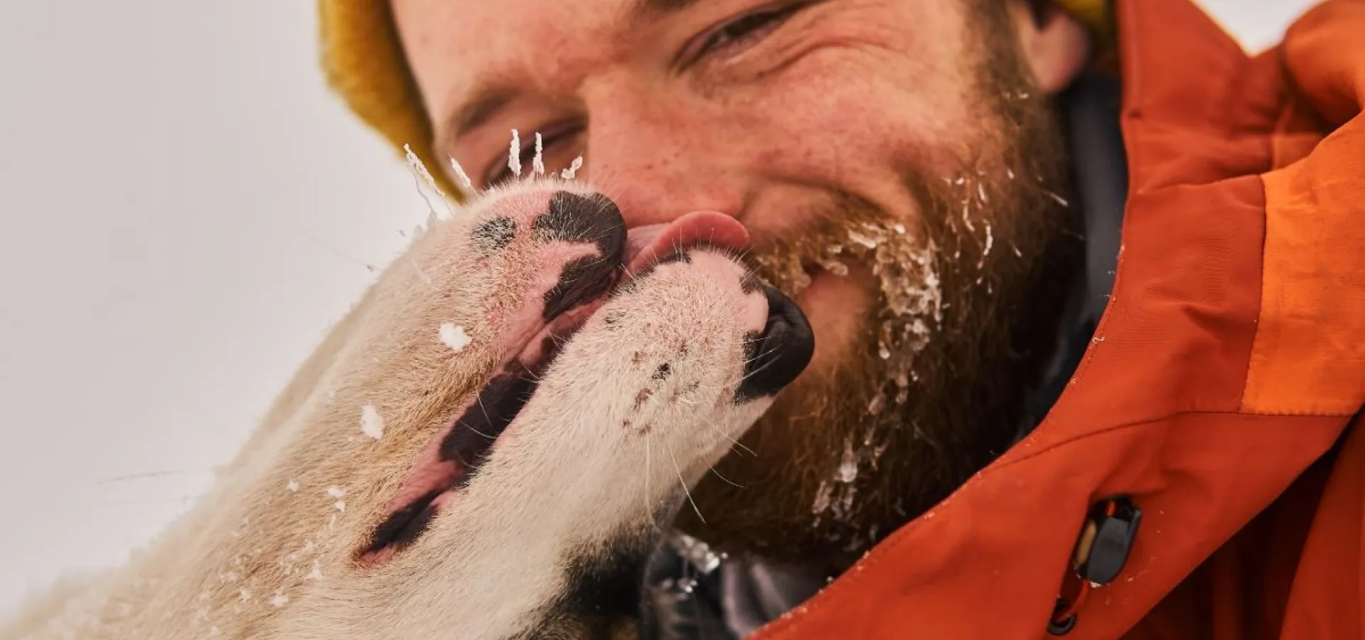 Childfriendly winter activities with huskies - Into the wild