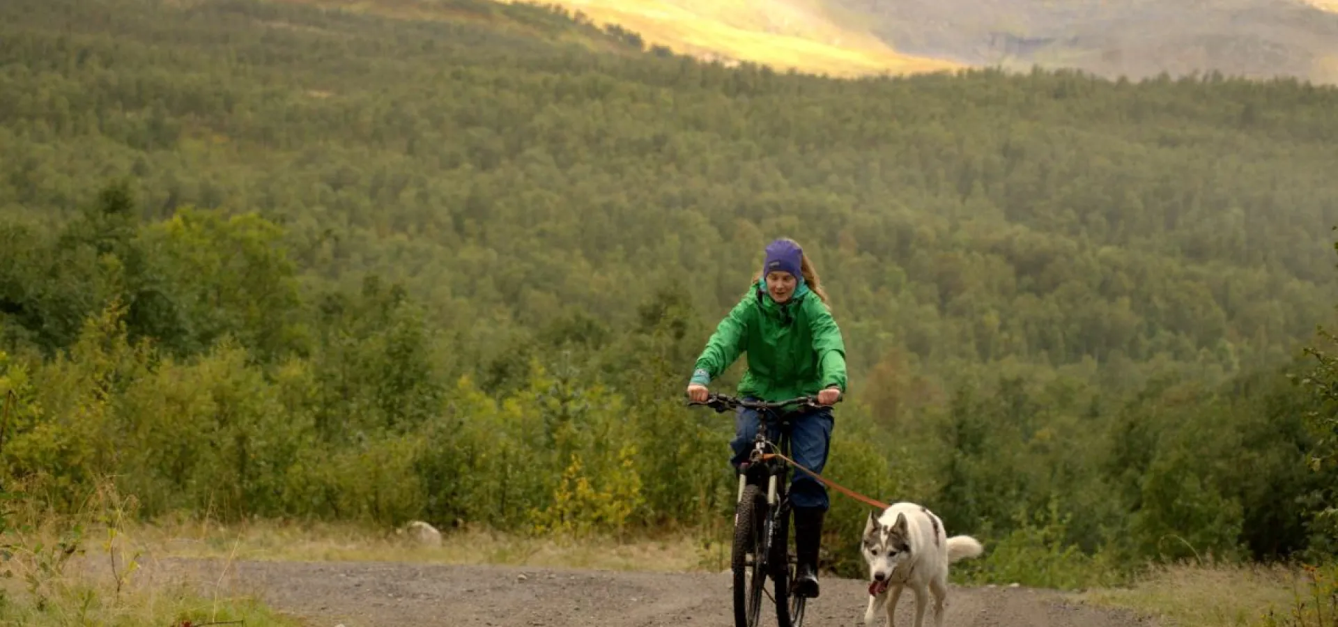 Biking with dogs - Into the wild 