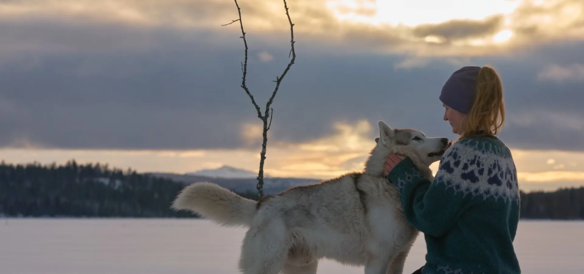 Childfriendly winter activities with huskies - Into the wild