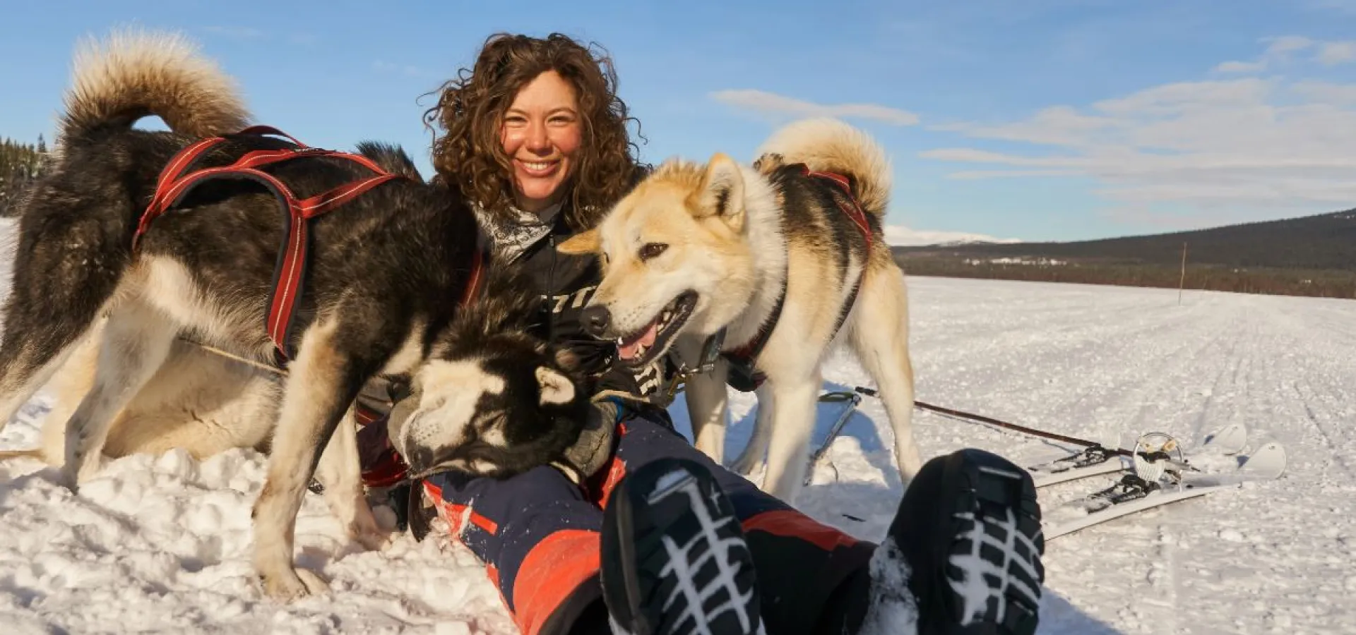 Childfriendly winter activities with huskies - Into the wild