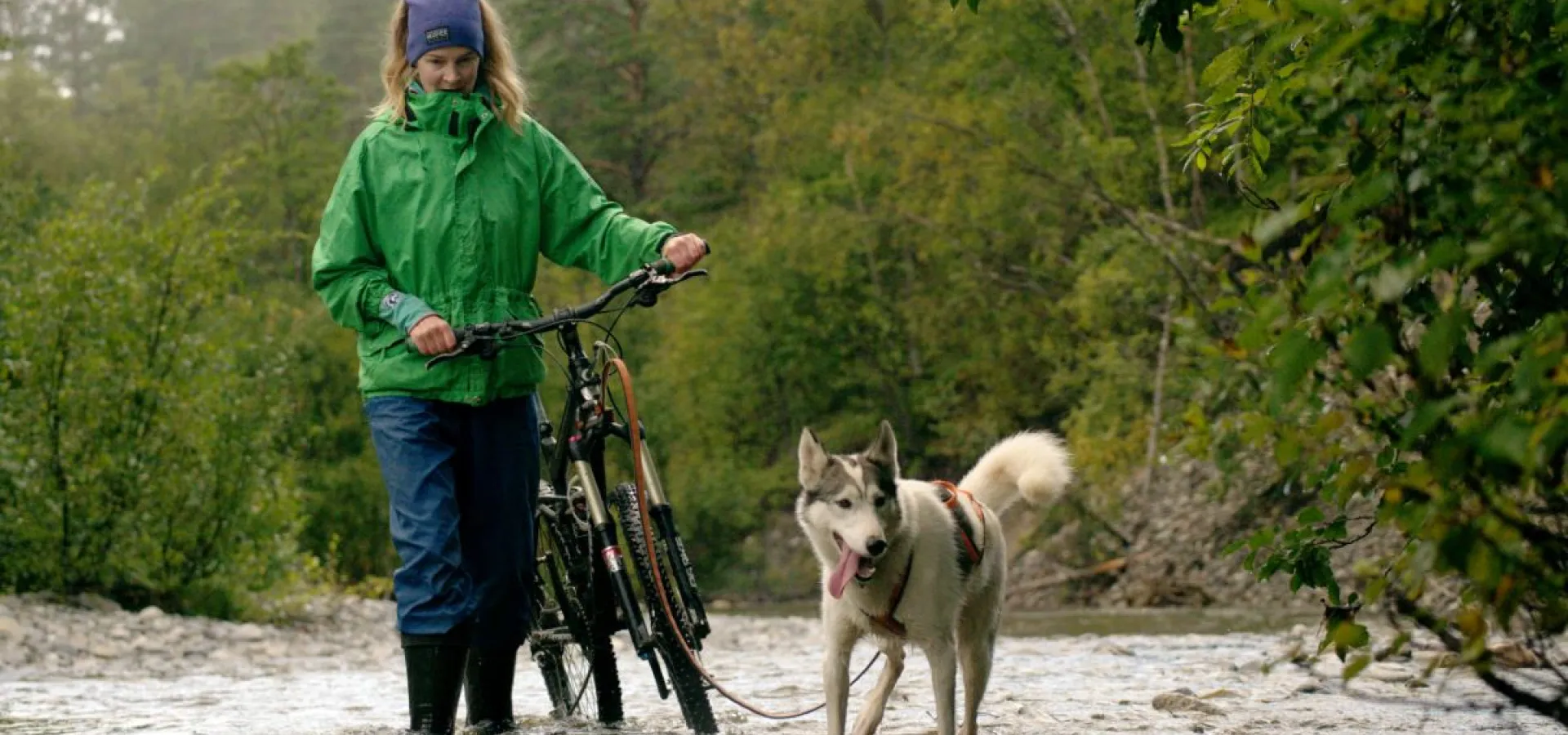 Biking with dogs - Into the wild 