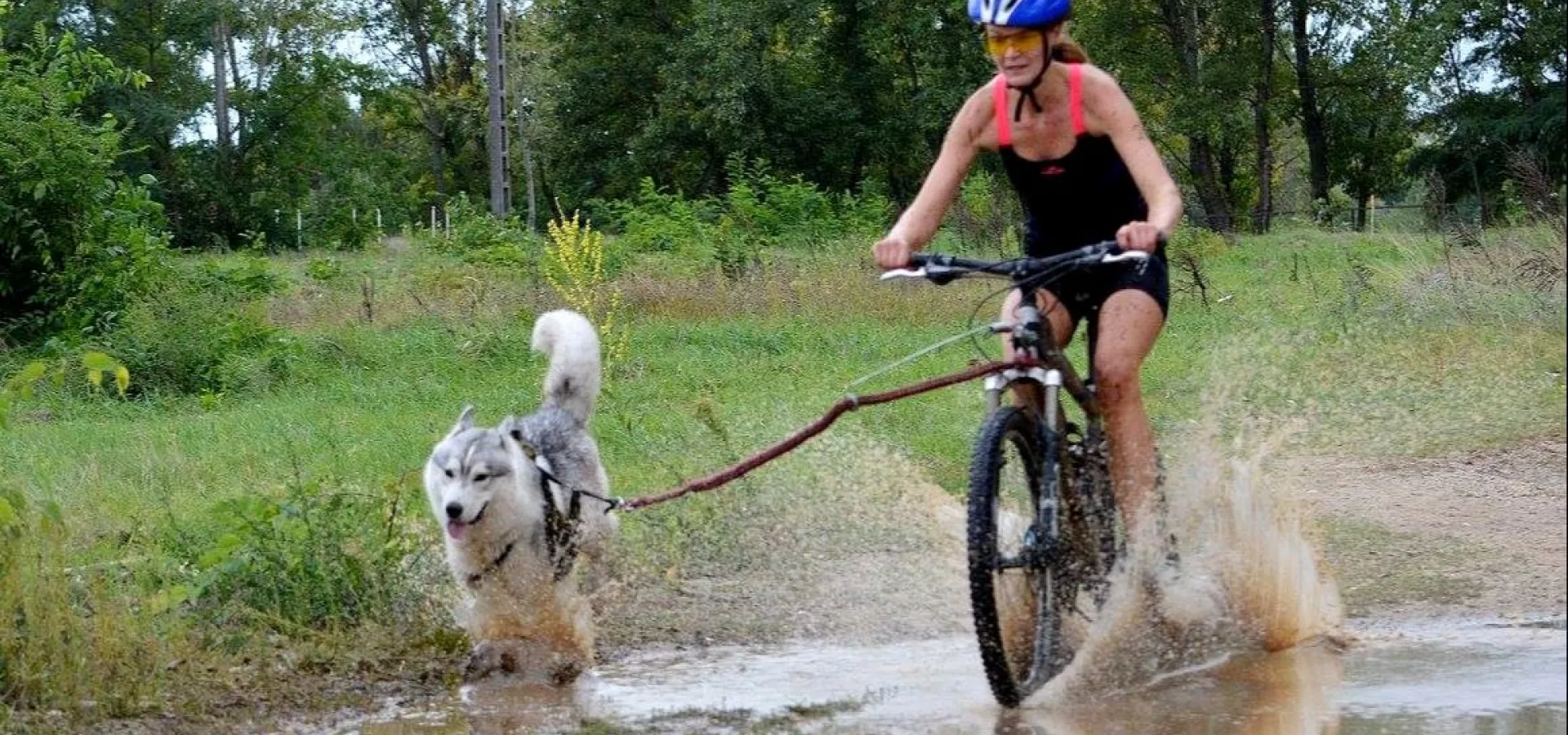 Biking with dogs - Into the wild 