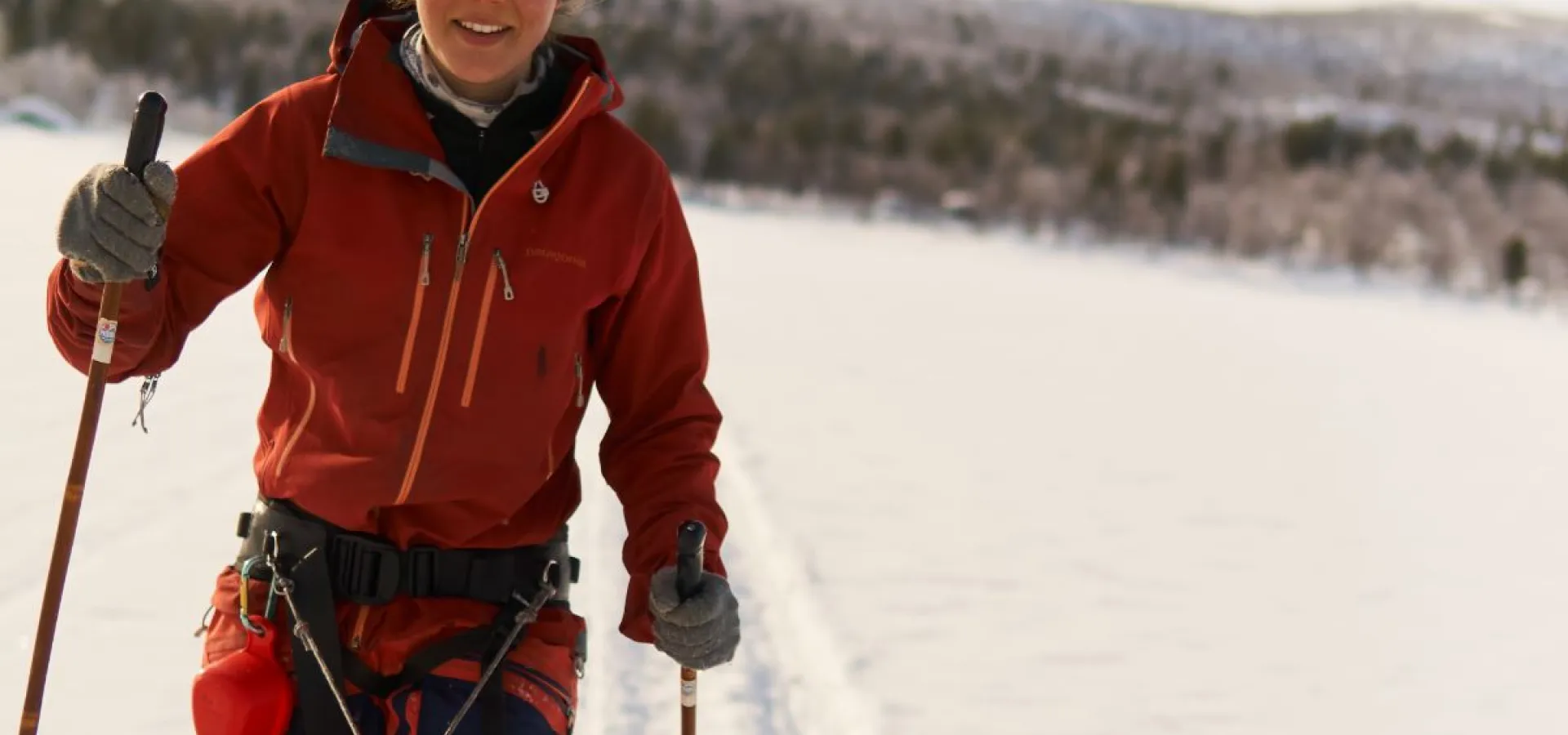 Skitur med en husky - Into the Wild