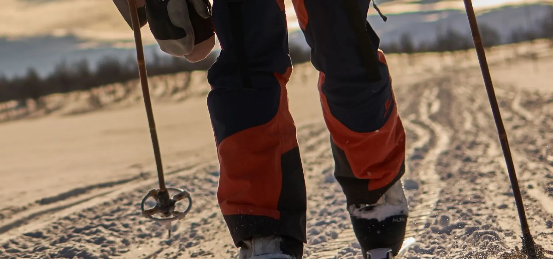 Skitur med en husky - Into the Wild