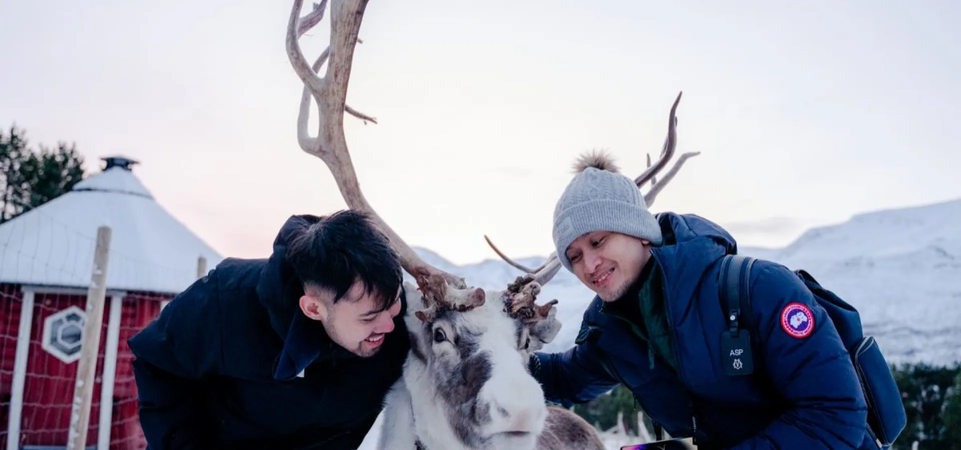 Reindeer Encounter & Sámi Culture Experience