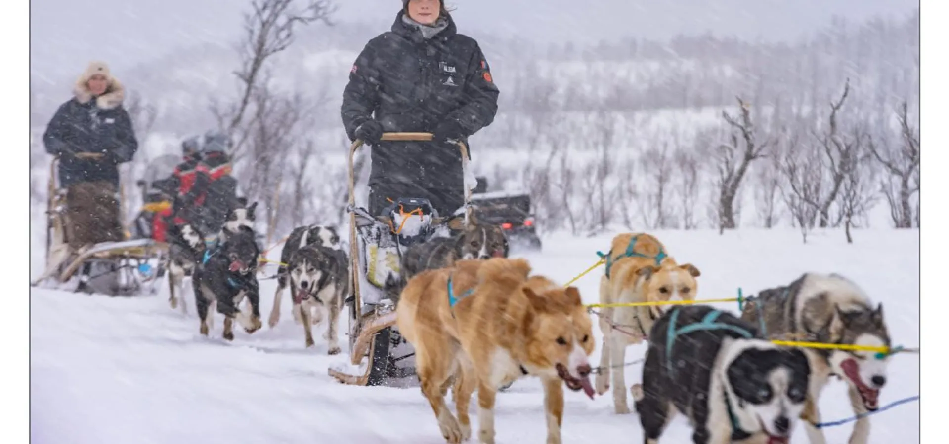 Lyngen Husky Safari