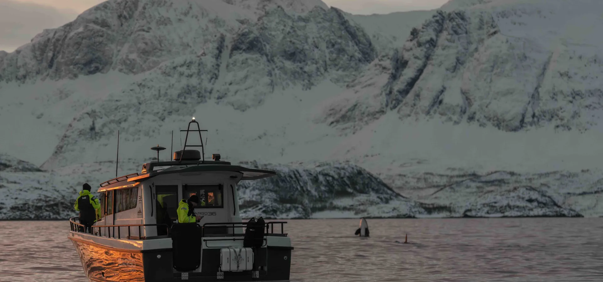 Lyngen Boats: fjordcruise og arktiske opplevelser i Nord‑Norge