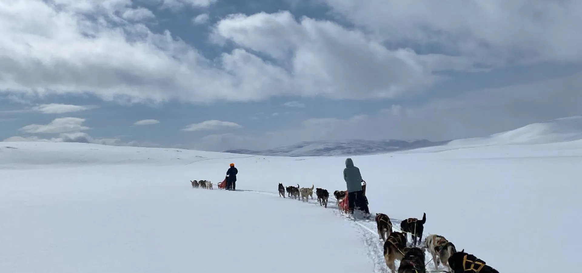  Hundekjøring w/transport MANNDALEN