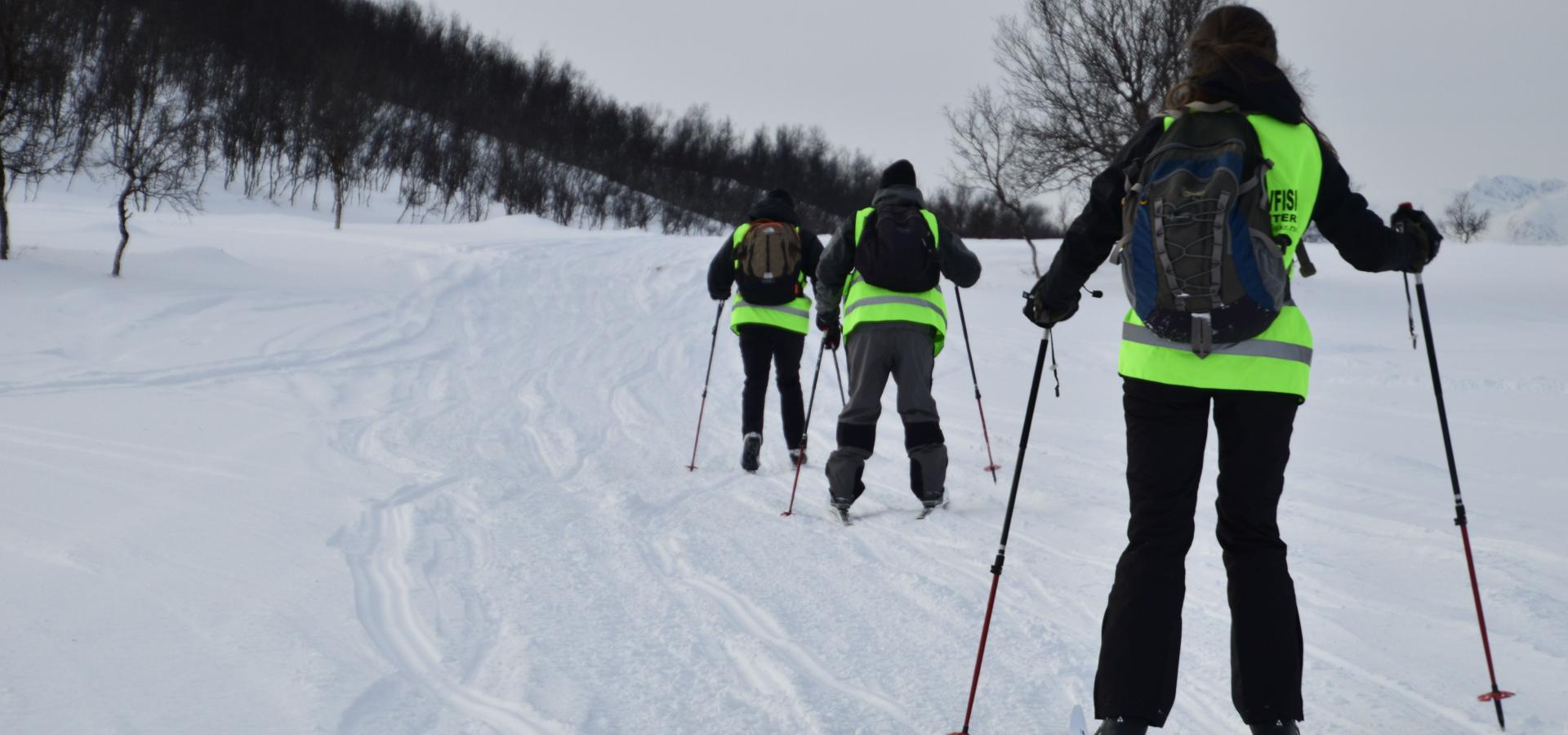 Skitur langs fjord og fjell i ytre Lyngen - XLyngen