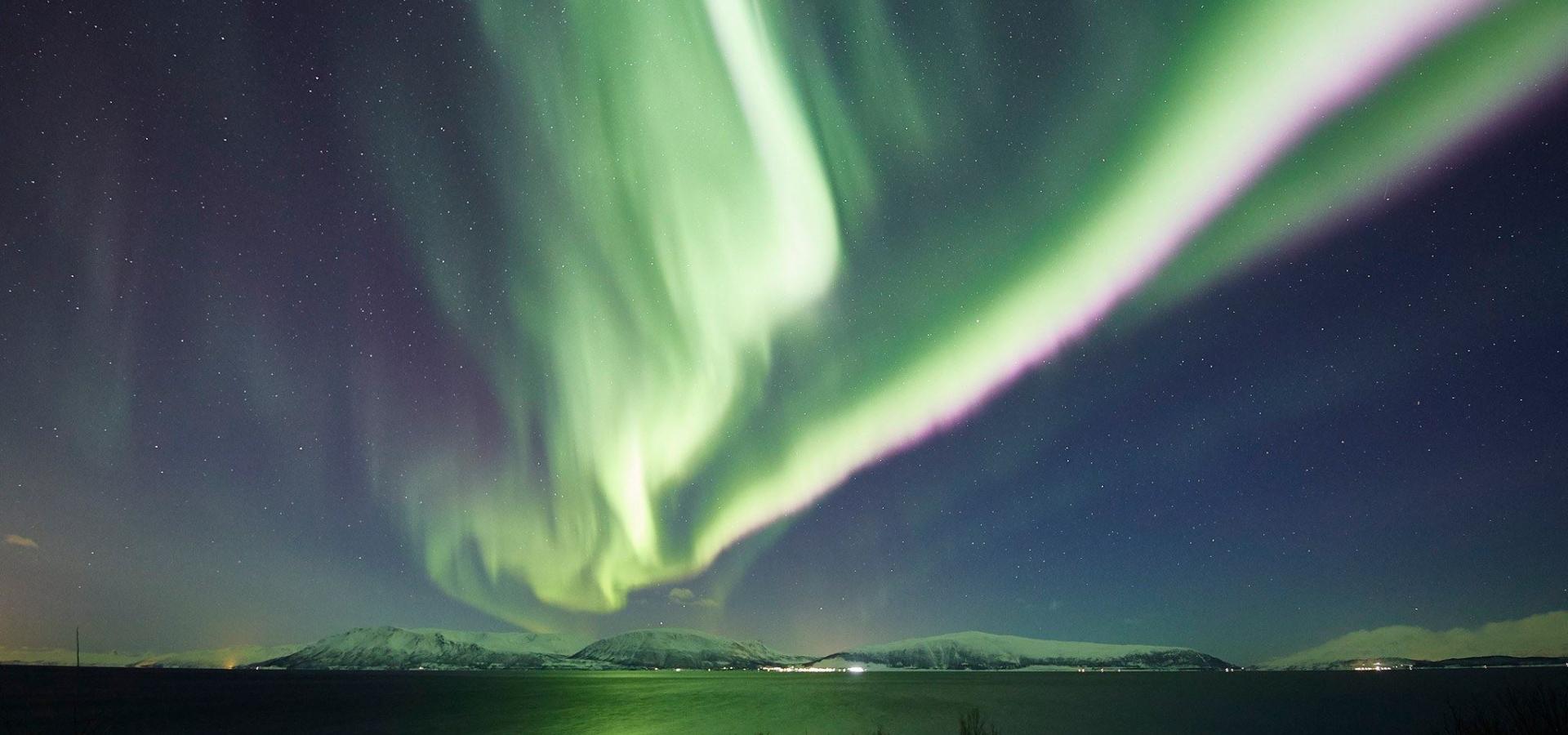 Fjord, hval og aurora