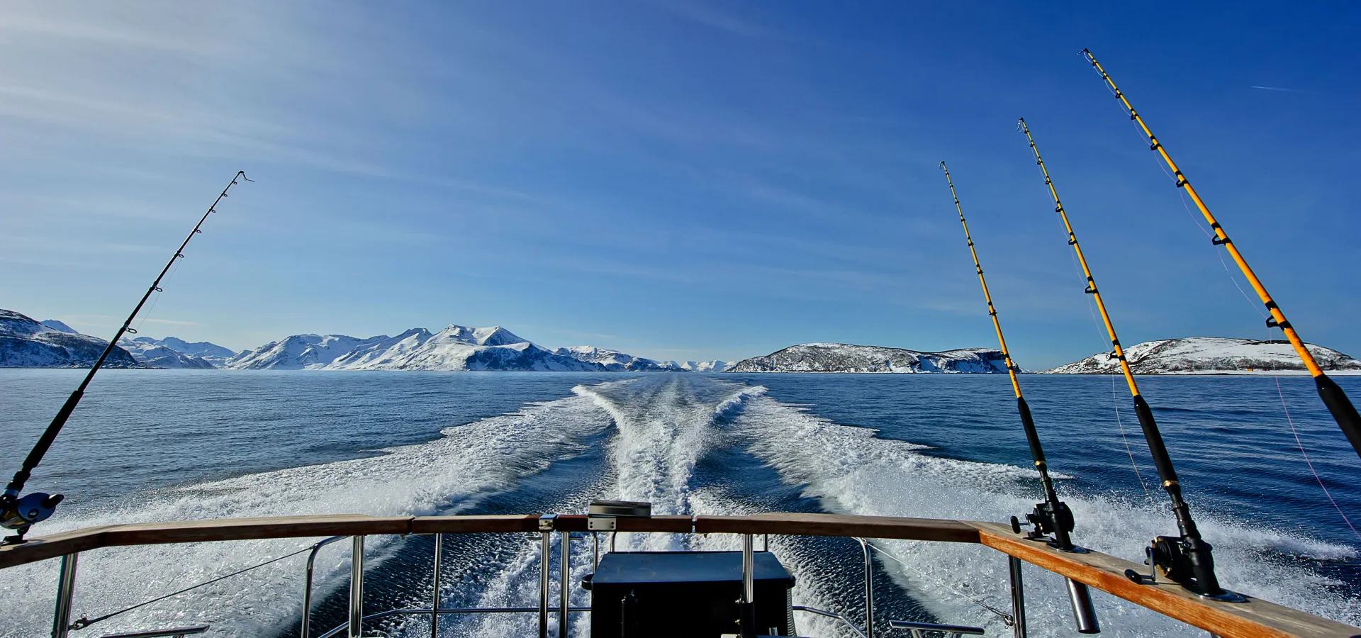 Lyngen Experience