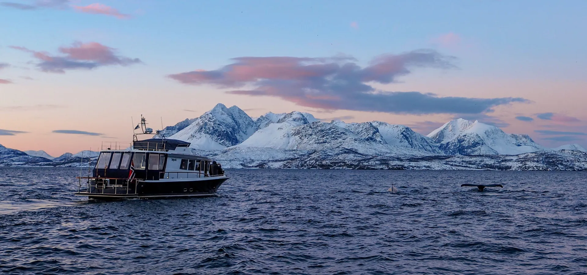 Lyngen Experience