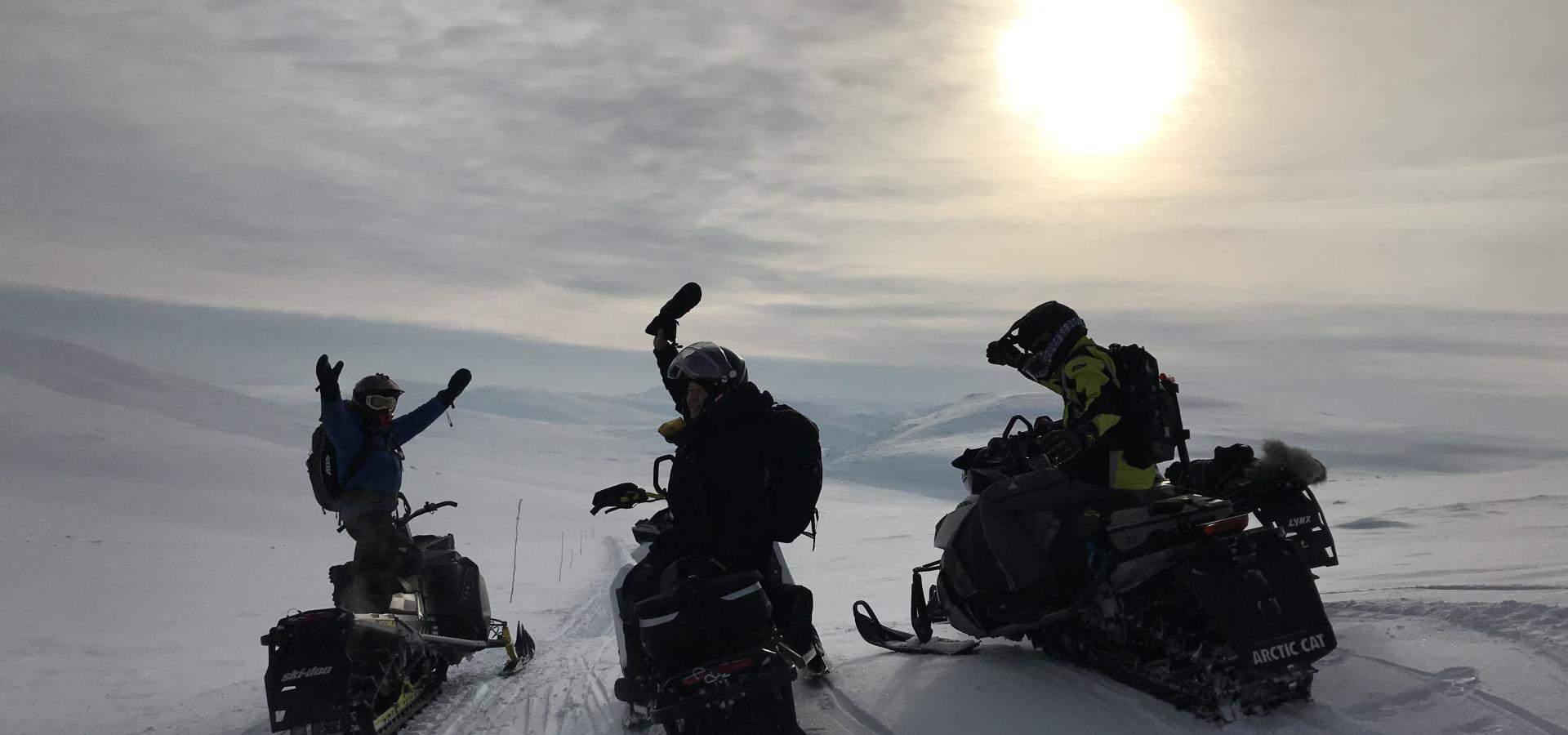 Snowmobile excursion into the wilderness - daytime tour with North Experience