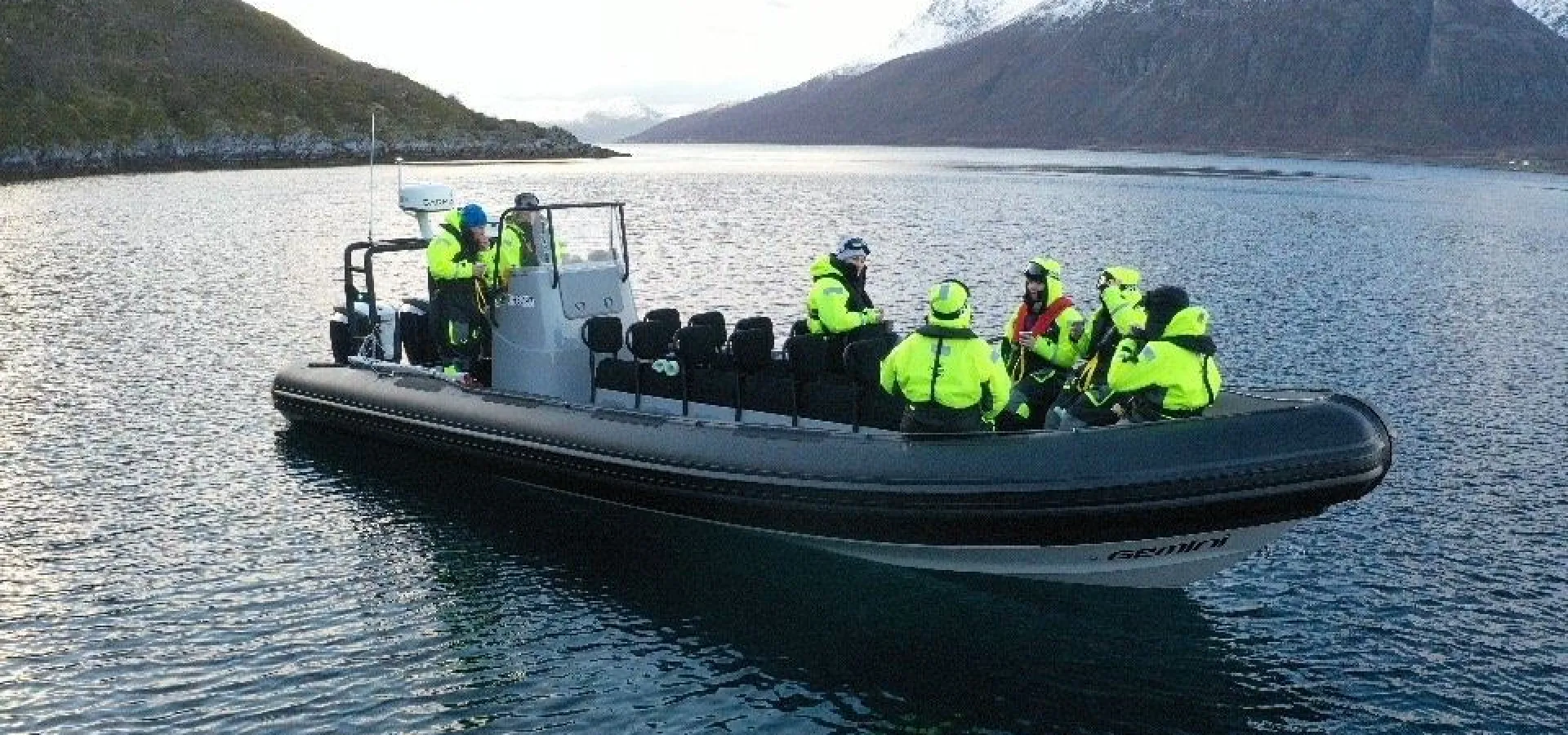 Hvalsafari fra Skjervøy - Reisafjord Xperience